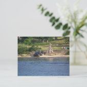 Independence Day Briefkaart (Staand voorkant)