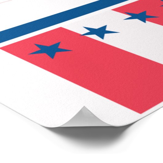 Independence Day Poster (Hoek)