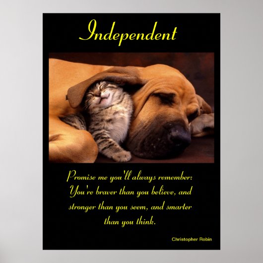 Independent Posters Animal 10 (Devant)
