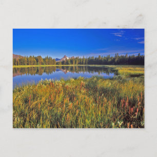 Index Peak reflecteert in het Mud Lake op de Briefkaart