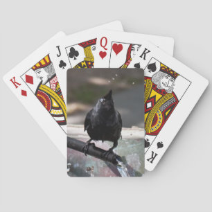 Index standard des cartes à jouer aux oiseaux