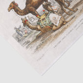 India Camels Illustration, 1820 Decoupage Tissuepapier (Detail)