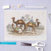India Camels Illustration, 1820 Decoupage Tissuepapier (Craft)