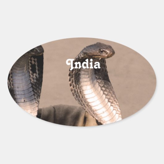 India Cobra Ovale Sticker (Voorkant)