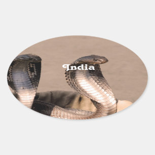 India Cobra Ovale Sticker