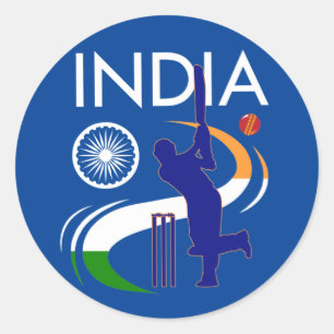 India cricket met Indische vlag-penseellijncadeaut Ronde Sticker