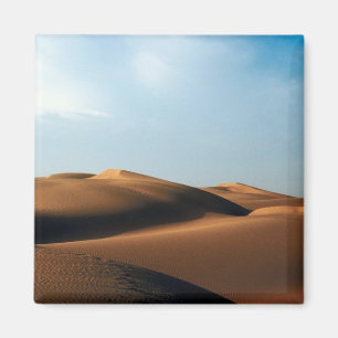 India Desert Magnet Magneet