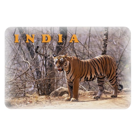 India Magneet (Horizontaal)