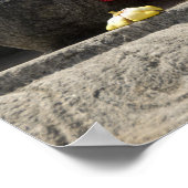 India, Mangalore, Karkala. Jains religie Poster (Hoek)