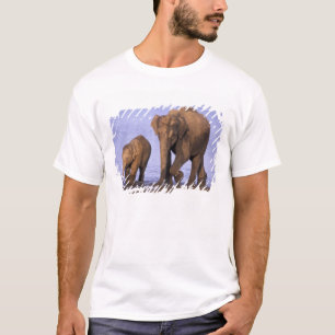 India, Nagarhole National Park. Aziatische olifant T-shirt