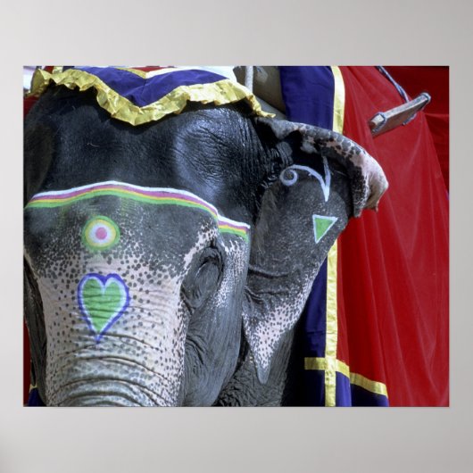 India, Rajasthan, Jaipur. Amber Fort. Poster (Voorkant)