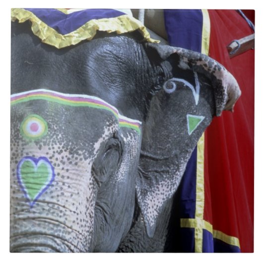 India, Rajasthan, Jaipur. Amber Fort. Tegeltje (Voorkant)