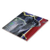 India, Rajasthan, Jaipur. Amber Fort. Tegeltje (Zijkant)