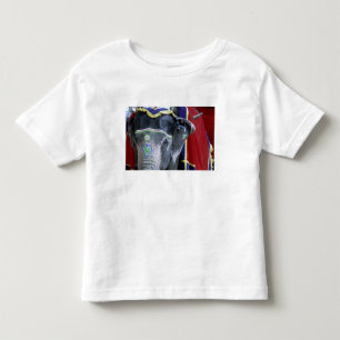 India, Rajasthan, Jaipur. Fort Amber. Kinder Shirts