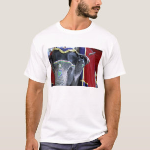 India, Rajasthan, Jaipur. Fort Amber. T-shirt