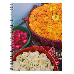 India, Rajasthan, Pipar Notitieboek