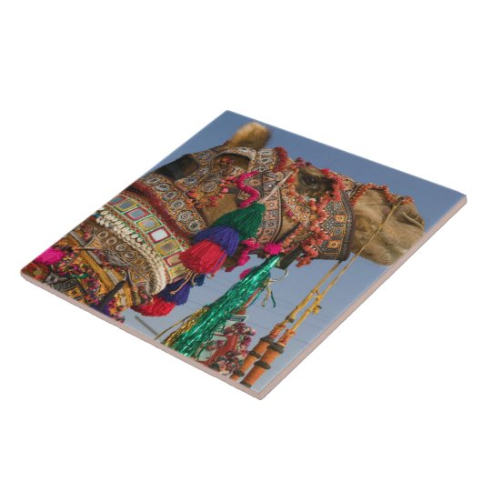 INDIA, Rajasthan, Pushkar: PUSHKAR CAMEL FAIR; Tegeltje (Zijkant)