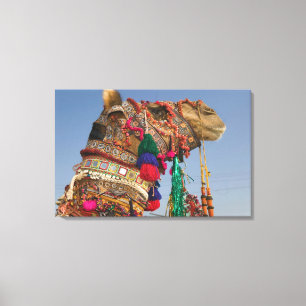 INDIA, Rajasthan, Pushkar: PUSHKAR KAMEELMARKT, Canvas Afdruk