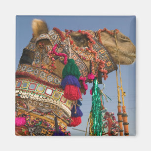 INDIA, Rajasthan, Pushkar: PUSHKAR KAMEELMARKT, Magneet