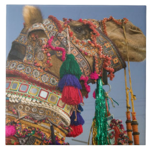INDIA, Rajasthan, Pushkar: PUSHKAR KAMEELMARKT, Tegeltje