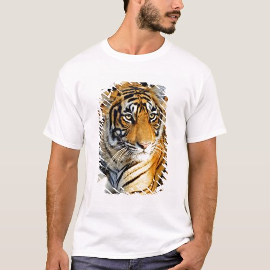 India, Sawai Madhopur, Ranthambore National T-shirt (Voorkant)