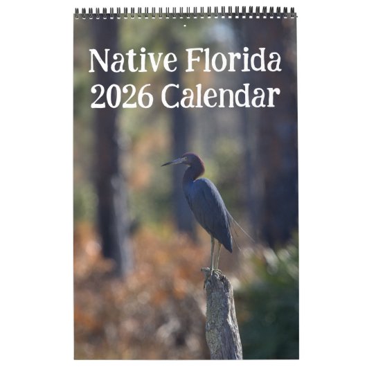 Indiaanse kalender 2026 (Hoes)