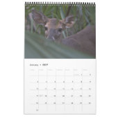 Indiaanse kalender 2026 (Jan 2027)
