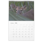 Indiaanse kalender 2026 (Jan 2026)