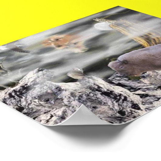 Indiaanse maan poster (Hoek)