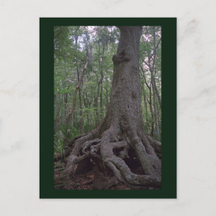 Indiaas Briefkaart van het Forest Artifact Custom