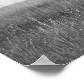 Indiaas Chief on Horseback, 1905.  foto Poster (Hoek)