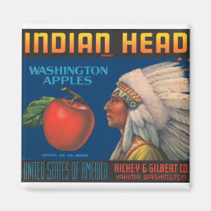 Indiaas hoofd magneet