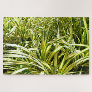 Indiaas lied legpuzzel