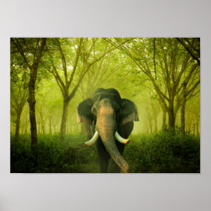 Indiaas olifant verouderend groot zoogdiergroen bo poster