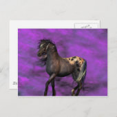 Indiaas paard briefkaart (Voorkant / Achterkant)