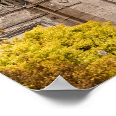 Indiaas paleis poster (Hoek)