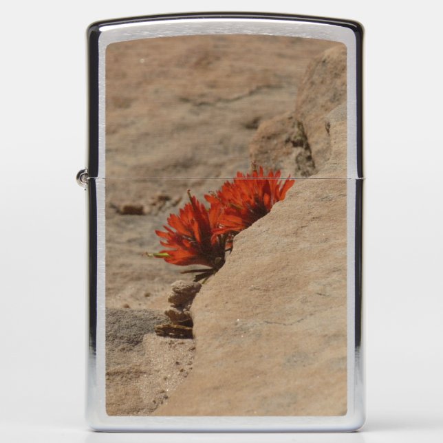 Indiaas penseel in Rocks bij Zion (Voorkant)