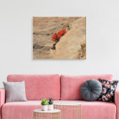 Indiaas penseel in Rocks bij Zion Canvas Afdruk (Insitu (Woonkamer))