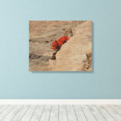 Indiaas penseel in Rocks bij Zion Canvas Afdruk (Insitu (Houten vloer))