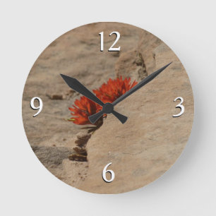 Indiaas penseel in Rocks bij Zion Ronde Klok