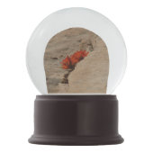 Indiaas penseel in Rocks bij Zion Sneeuwbol (Achterkant)