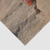 Indiaas penseel in Rocks bij Zion Tissuepapier (Detail)