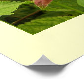 Indiaas Poster voor penseel penseel (Hoek)