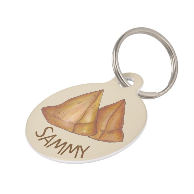 Indiaas voedsel Samosa Coconut Samosas Huisdierpenning (Zijkant)