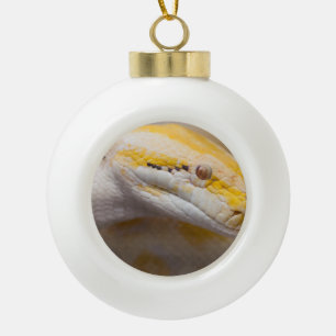 Indian Albino Python Ho Chi Minh City Zoo, Vietnam Keramische Bal Ornament