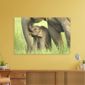 Indian / Asian Elephant and Young one, Corbett Canvas Afdruk (Insitu (Woonkamer))