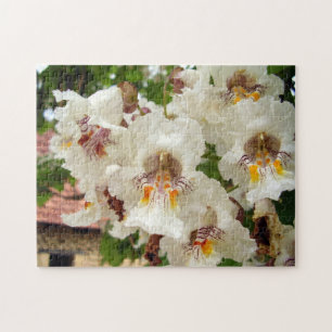Indian Bean Tree Flowers Photo Puzzle et boîte cad