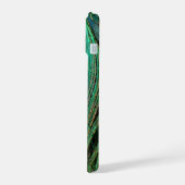 Indian Blue Peacock Feather (Côté gauche)