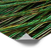 Indian Blue Peacock Feather Poster Print (Coin)