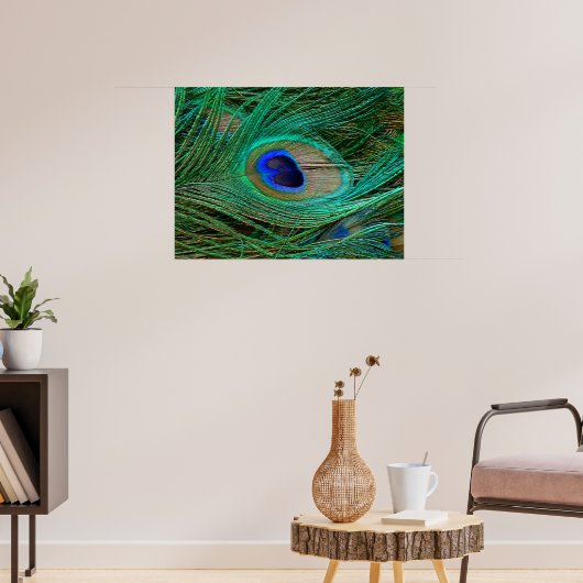 Indian Blue Peacock Feather Poster Print (Salon 3)